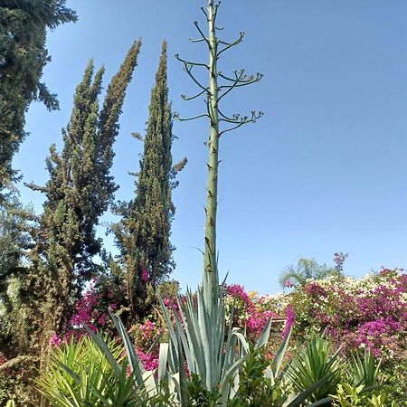 Riad-Villa Agadir-Taroudant Sidi Boumoussa المظهر الخارجي الصورة