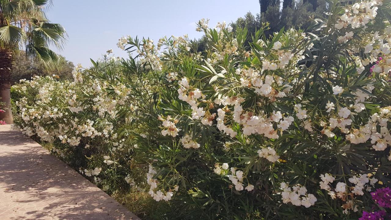 Riad-Villa Agadir-Taroudant Sidi Boumoussa المظهر الخارجي الصورة
