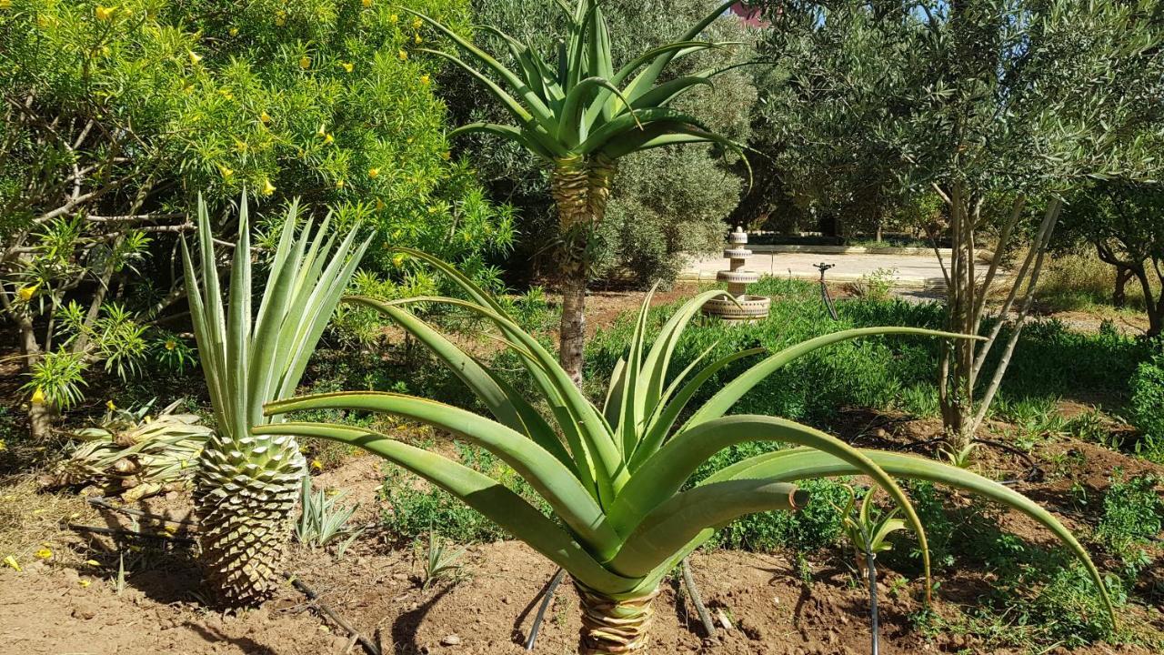 Riad-Villa Agadir-Taroudant Sidi Boumoussa المظهر الخارجي الصورة