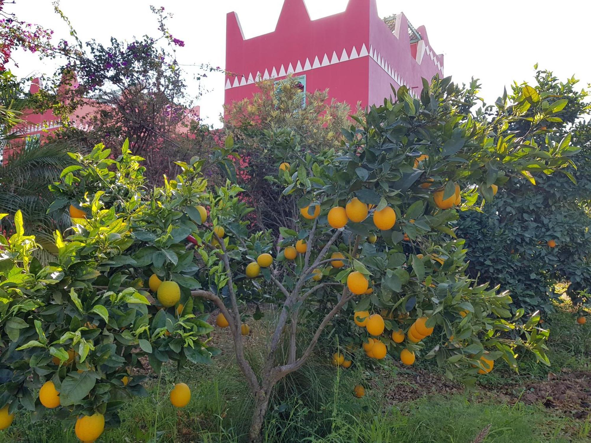 Riad-Villa Agadir-Taroudant Sidi Boumoussa المظهر الخارجي الصورة